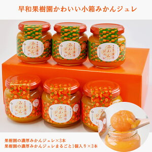 @Mtg@aʎ 킢EZ݂WlZbgiC3-39jʎ݂̂Wi120g×3jAʎ݂̂W܂邲1i120g×3jꌧ͑900