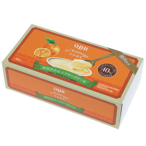 QBB ex'fromage KOBE Lc݂ A`[YP[Li4jaʎƘZbo^[̃R{i