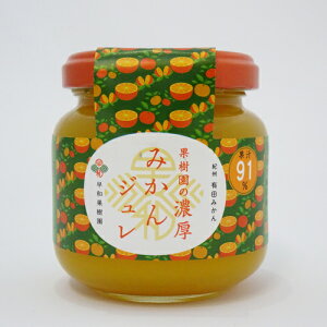 yaʎzʎ̔Z݂Wi120gjr@s