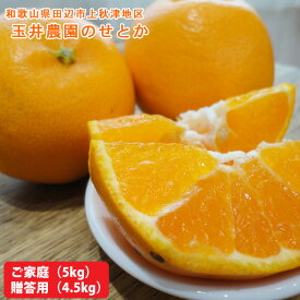 予約販売　2月下旬からの出荷予定玉井農園のせとか　贈答用（秀品）4.5kg・家庭用5kg和歌山県田辺市上秋津地区送料無料※沖縄県は送料900円・北海道は送料1200円