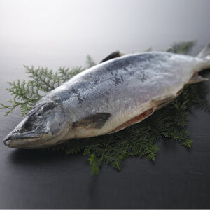 Mtg@@[VAY]lVRgihE12kgj@N[ⓀցkCEꌧ͑+1200~