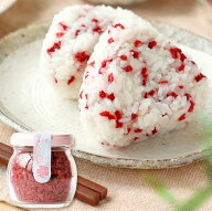 ふみこ農園梅のフリーズドライ　乾燥梅肉　40g※包装不可商品