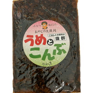 ՂލH[ ₶̑۔@߂ƂԂ̒ώρi300gj