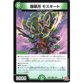 [R] DM24-RP3-26/76 《爆翠月 モスキート》 [中古]