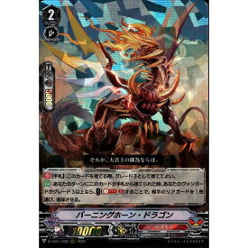 バーニングホーン・ドラゴン 【D-VS01/028】【RRR】_[中古]