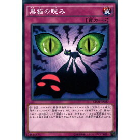 [N] CPD1-JP037《黒猫の睨み》[中古]