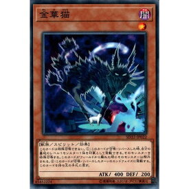 楽天市場 遊戯王 金華猫の通販 楽天市場 遊戯王 金華猫の通販