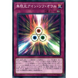 楽天市場 アイン ソフ オウルの通販