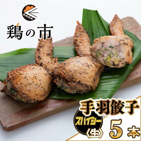 鶏の市 手羽餃子 手羽先餃子　スパイシー　5本〈生〉 冷凍 国産 鶏肉 自家製 手羽餃子鍋 お取り寄せ 手羽先 つくね 餃子