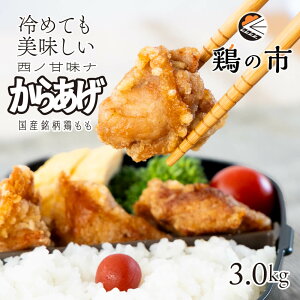 {̎s ߂Ă 炠 a g 300g×10  Ⓚ Y 3kg g邾 t { ٓ 