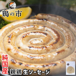 _|Cg 10{^邮\[Z[W e{gl[h\[Z[Wqr1 | \[Z[W \[Z[W {̎s