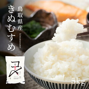 y2025N10{ȍ~zys\zy5kgzy^pbNzߘa7NY V 挧Yʂނ  LkX (5kg×1)   5L   ^pbN ~ h ۑ 