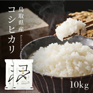 y10kgzy^pbNzߘa7NY V 挧YRVqJi5kg×2j  RVqJ Ђ    ^ 10L  ~ h ۑ Pꌴ [OXgbN