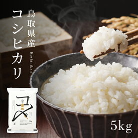 【令和5年産】【真空パック】 鳥取県産コシヒカリ 5kg（5kg×1）米 コシヒカリ こしひかり お米 白米 精米 5キロ こめ コメ 送料無料 真空パック包装 備蓄米 備蓄 防災 長期保存 単一原料米 ローリングストック