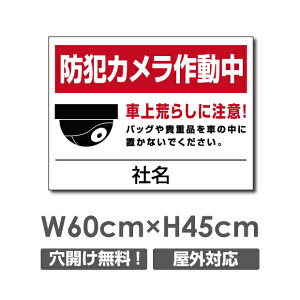 �_�N�[�|���z�z���I�^�y�h�ƃJ�����쓮���zW600mm×H450mm �����ꖳ�� �s�@���� �Ď��J���� �쓮�� �Ď��� 24���� �^�撆 ���O �I�[�_�[ �Z�L�����e�B�Ŕ� �G�g�Z�g�� ���O�S�~�̂Ė��f�s�זh�~