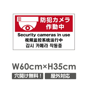 yhƃJ쓮zW600mm×H350mm s@ ĎJ 쓮 Ď 24 ^撆 O I[_[ ZLeBŔ GgZg OS~̂Ėfsזh~΍ Ln }VǗ W 