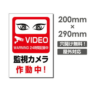 �_�N�[�|���z�z���I�^�y�Ď��J�����쓮���zW200mm×H290mm �s�@���� �Ď��J���� �쓮�� �Ď��� 24���� �^�撆 ���O �Z�L�����e�B�Ŕ� �G�g�Z�g�� ���O�S�~�̂Ė��f�s�זh�~�΍� ���L�n �}���V��