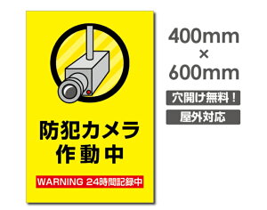 yhƃJ쓮zW400mm×H600mm s@ ĎJ 쓮 Ď 24 ^撆 O I[_[ ZLeBŔ GgZg OS~̂Ėfsזh~΍ Ln }VǗ camera-