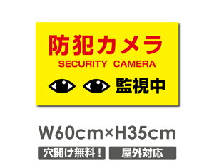 yhƃJĎzW600mm×H350mm s@ ĎJ 쓮 Ď 24 ^撆 O I[_[ ZLeBŔ s@ցIGgZg OS~̂Ėfsזh~΍ Ln }