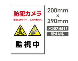 yhƃJĎzW200mm×H290mm hƃJ ĎJ 쓮 Ď 24 ^撆 O ZLeBŔ GgZg O Ln }VǗ camera-270