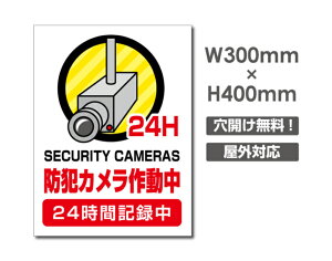 yhƃJ쓮 24HԋL^zW300mm×H400mm s@ ĎJ 쓮 Ď 24 ^撆 O I[_[ ZLeBŔ s@ցIGgZg OS~̂Ėfsזh~΍