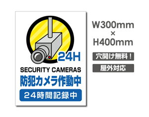 yhƃJ쓮 24HԋL^zW300mm×H400mm s@ ĎJ 쓮 Ď 24 ^撆 O I[_[ ZLeBŔ s@ցIGgZg OS~̂Ėfsזh~΍