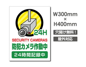 yhƃJ쓮 24HԋL^zW300mm×H400mm s@ ĎJ 쓮 Ď 24 ^撆 O I[_[ ZLeBŔ s@ցIGgZg OS~̂Ėfsזh~΍