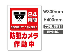 yhƃJ쓮 24HԁzW300mm×H400mm s@ ĎJ 쓮 Ď 24 ^撆 O I[_[ ZLeBŔ s@ցIGgZg OS~̂Ėfsזh~΍ L