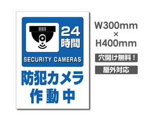 yhƃJ쓮 24HԁzW300mm×H400mm s@ ĎJ 쓮 Ď 24 ^撆 O I[_[ ZLeBŔ s@ցIGgZg OS~̂Ėfsזh~΍ L