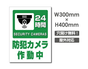 yhƃJ쓮 24HԁzW300mm×H400mm s@ ĎJ 쓮 Ď 24 ^撆 O I[_[ ZLeBŔ s@ցIGgZg OS~̂Ėfsזh~΍ L