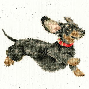 Bothy Threads �N���X�X�e�b�`�h�J�L�b�g Friday Feeling XHD92 (��) �{�V�[�X���b�Y �y�C�O����/�[��40�`80�����x�z