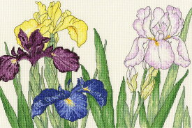 Bothy Threads クロスステッチ刺繍キット 「Iris Blooms」 XBD14 (菖蒲 アヤメ) ボシースレッズ 【海外取り寄せ/納期40〜80日程度】