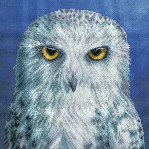 Bothy Threads �N���X�X�e�b�`�h�J�L�b�g The Menagerie - Wisdom XRF12 (�m�b�̃t�N���E) �{�V�[�X���b�Y �y�C�O����/�[��40�`80�����x�z