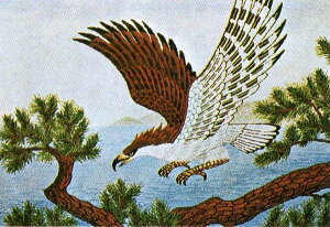 東京文化刺繍キット BSK-236 「鷹」(6号) 鳥