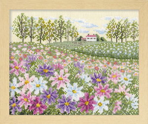 OlympusNXXeb`hJLbg7310uRXX̋uv (x[W) IpX