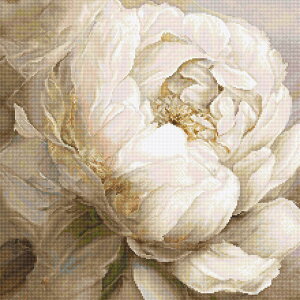 LETISTITCH NXXeb`hJLbg L8083 "Peony Poses" (O {^) yCO/[45`90xz