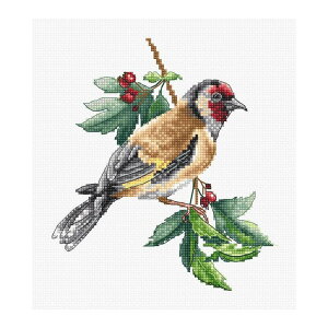 Luca-S NXXeb`hJLbg B1197 "Goldfinch bird" (S[htB`) yCO/[40`80xz
