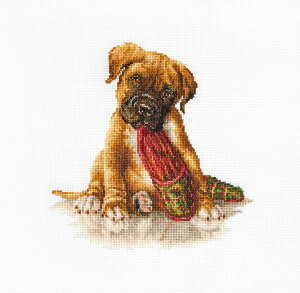 Luca-S NXXeb`hJLbg B2338 "The Boxer" ({NT[/) yCO/[40`80xz [JX