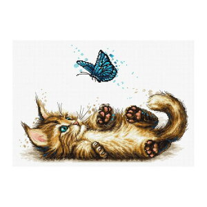 Luca-S NXXeb`hJLbg B7013 "Playful Kitten" (VԎqL) yCO/[40`80xz