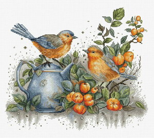 Luca-S NXXeb`hJLbg BU5031 "Song of the Birds" (̉) yCO/[40`80xz
