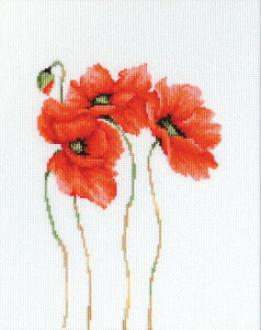 Luca-S NXXeb`hJLbg B2224 "Poppies" (|s[) yCO/[40`80xz [JX