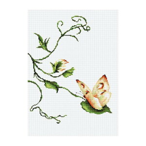 Luca-S NXXeb`hJLbg B2243 "Touch" (^b`) yCO/[40`80xz [JX