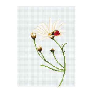 Luca-S NXXeb`hJLbg B2246 "Communication" (egEV) yCO/[40`80xz [JX