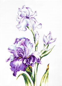 Luca-S クロスステッチ刺繍キット B2251 "Irises" (アイリス) 【海外取り寄せ/納期40〜80日程度】 ルーカス