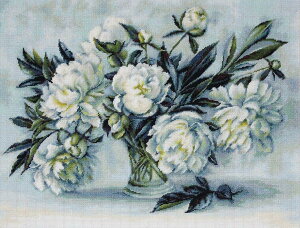 Luca-S NXXeb`hJLbg B517 "Peonies" (O) yCO/[40`80xz [JX