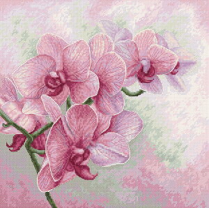 Luca-S NXXeb`hJLbg B7009 "Graceful Orchids" (Dȗ I[Lbh) yCO/[40`80xz