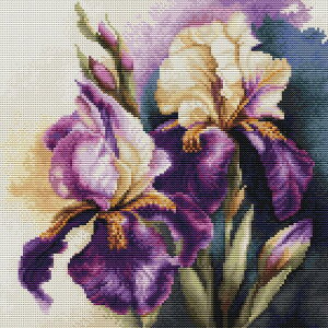 Luca-S NXXeb`hJLbg B7023 "Iris Burgermeister" (ACX o[K[}CX^[) yCO/[40`80xz