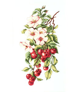 Luca-S NXXeb`hJLbg B205 "Composition with cherry" (`F[̃R|WV) yCO/[40`80xz [JX