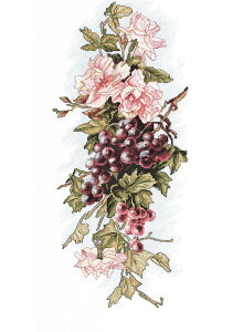 Luca-S NXXeb`hJLbg B212 "Composition with grapes" (uhẼR|WV) yCO/[40`80xz [JX