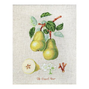 Luca-S NXXeb`hJLbg BL22420 "The Dauch Pear" (miV) yCO/[40`80xz [JX